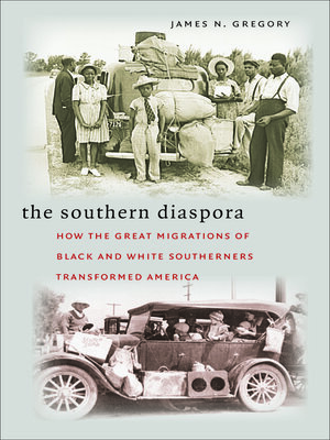 cover image of The Southern Diaspora